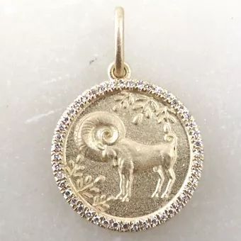 Zodiac Charm