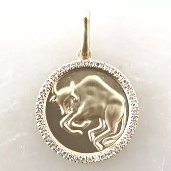 Zodiac Charm