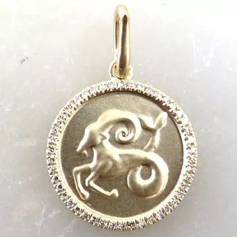 Zodiac Charm