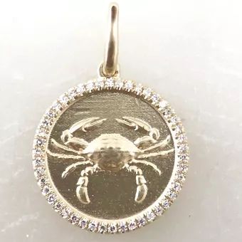 Zodiac Charm