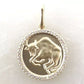 Zodiac Charm